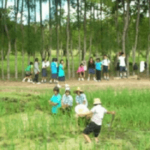 โครงการอุทยานการเรียนรู้เศรษฐกิจพอเพียงสู่การพัฒนาโรงเรียนอย่างยั่งยืน